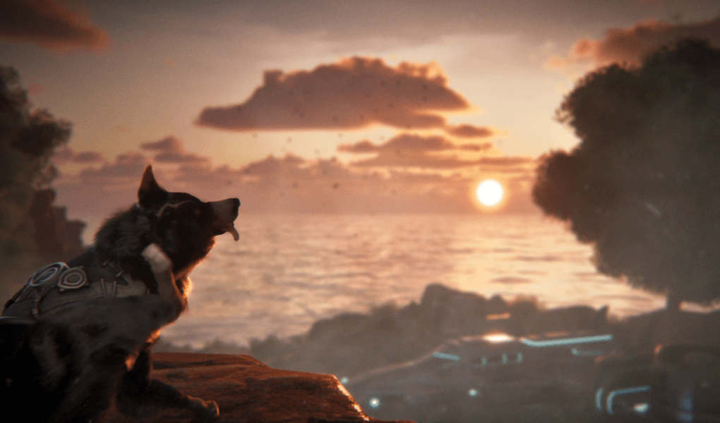 sh0050 v002.00 00 13 00.Still008