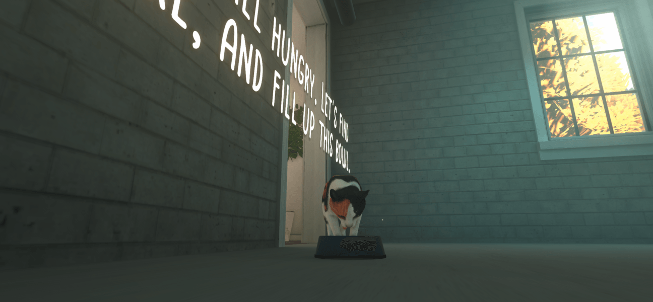 Copycat 9 13 2024 10 23 42 PM