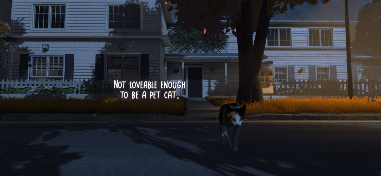 Copycat 9 15 2024 10 15 11 PM