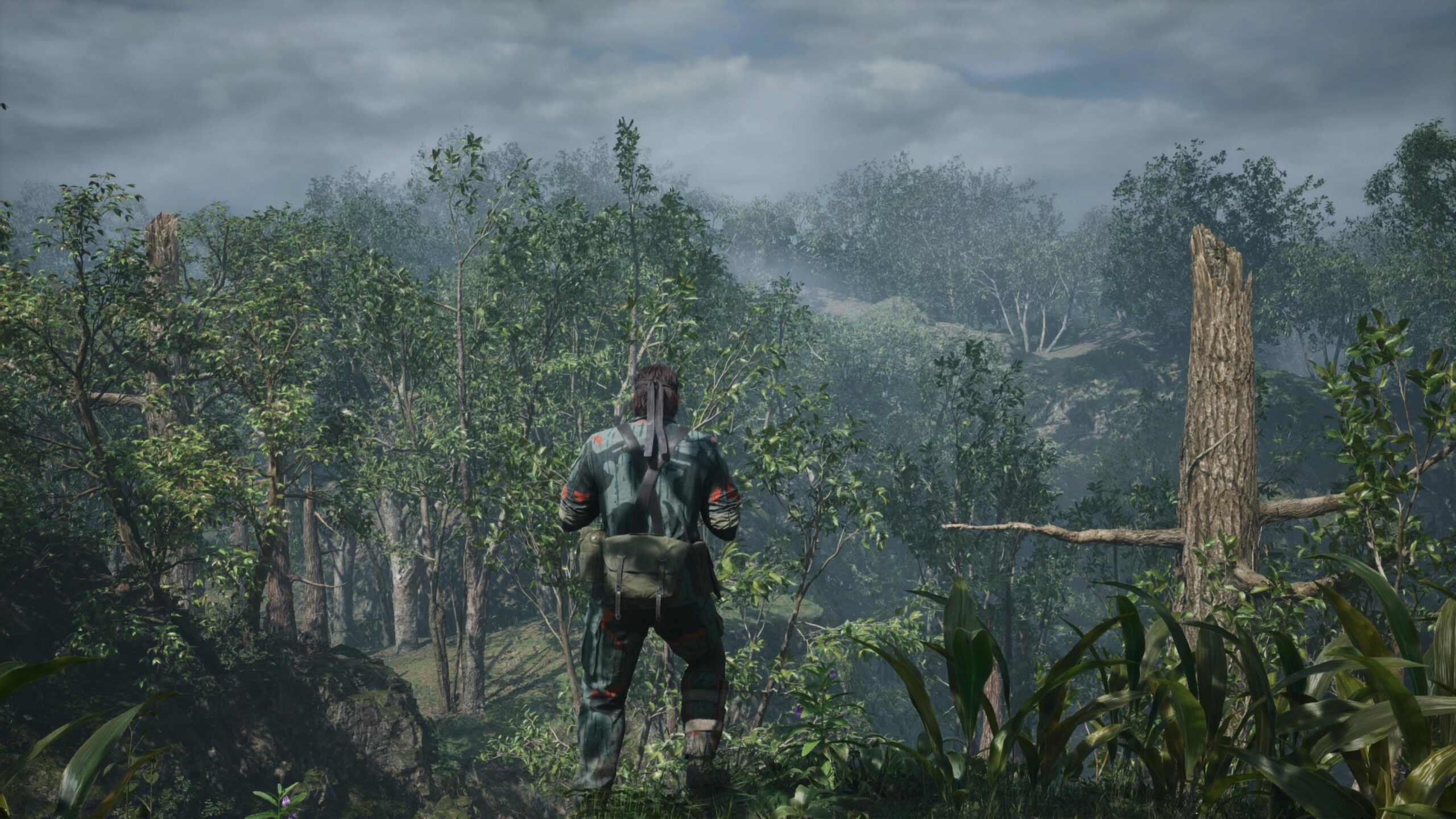 Metal Gear Solid Delta Snake Eater scaled