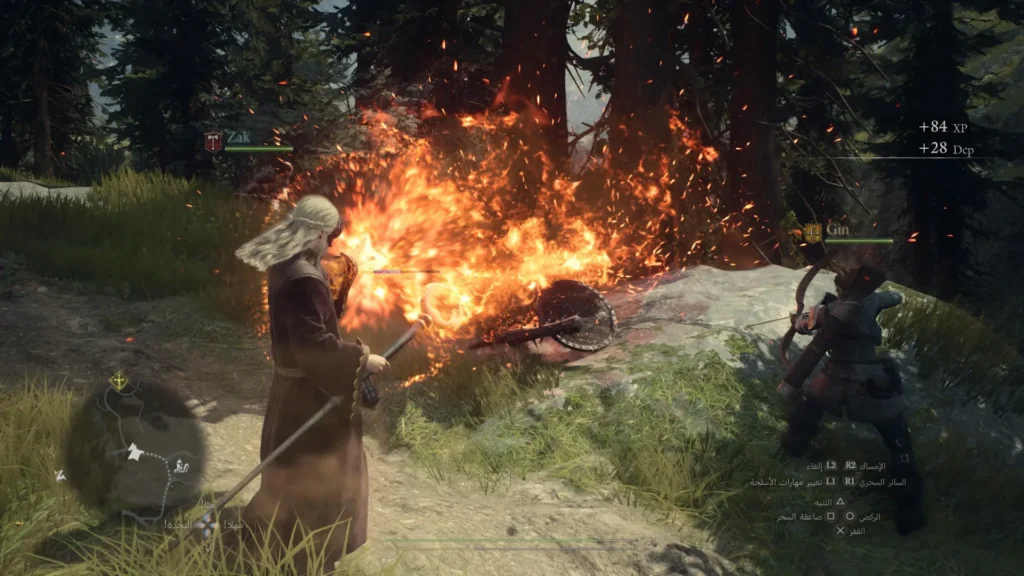 Dragons Dogma 2 Dark Arisen 03